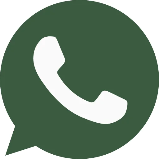 WhatsApp icon