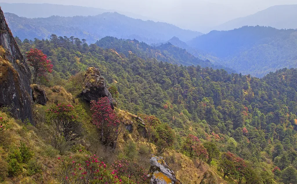 View from Singalila National Park